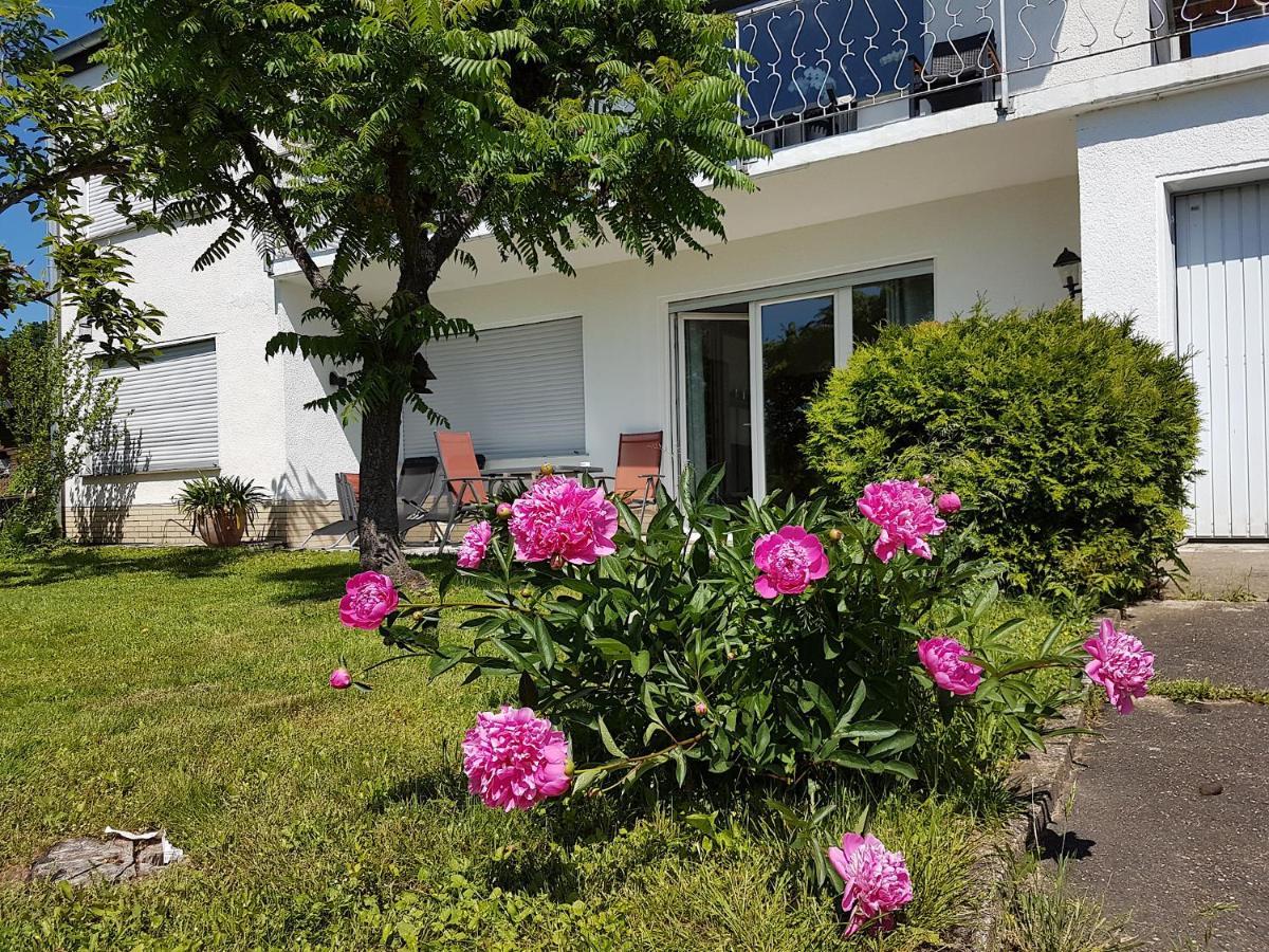 Rauszeit-Toroni Apartment Niedenstein Exterior photo